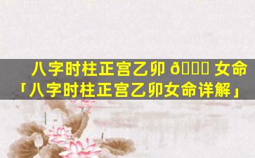 八字时柱正宫乙卯 🐘 女命「八字时柱正宫乙卯女命详解」